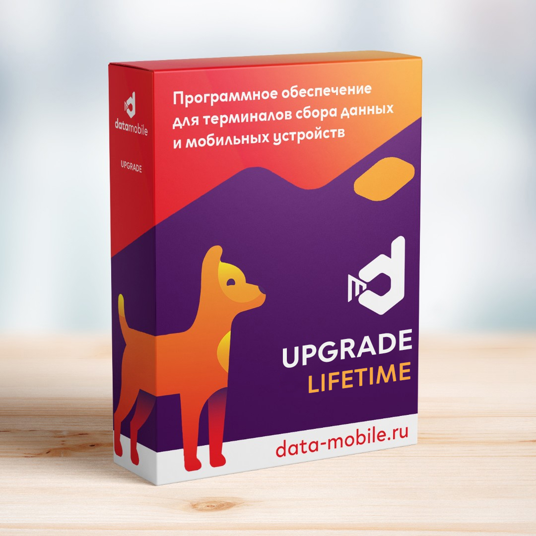 DataMobile, Upgrade 2.9